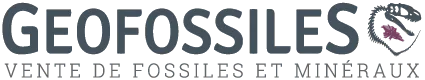 Geofossiles