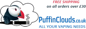 eBay Coupon