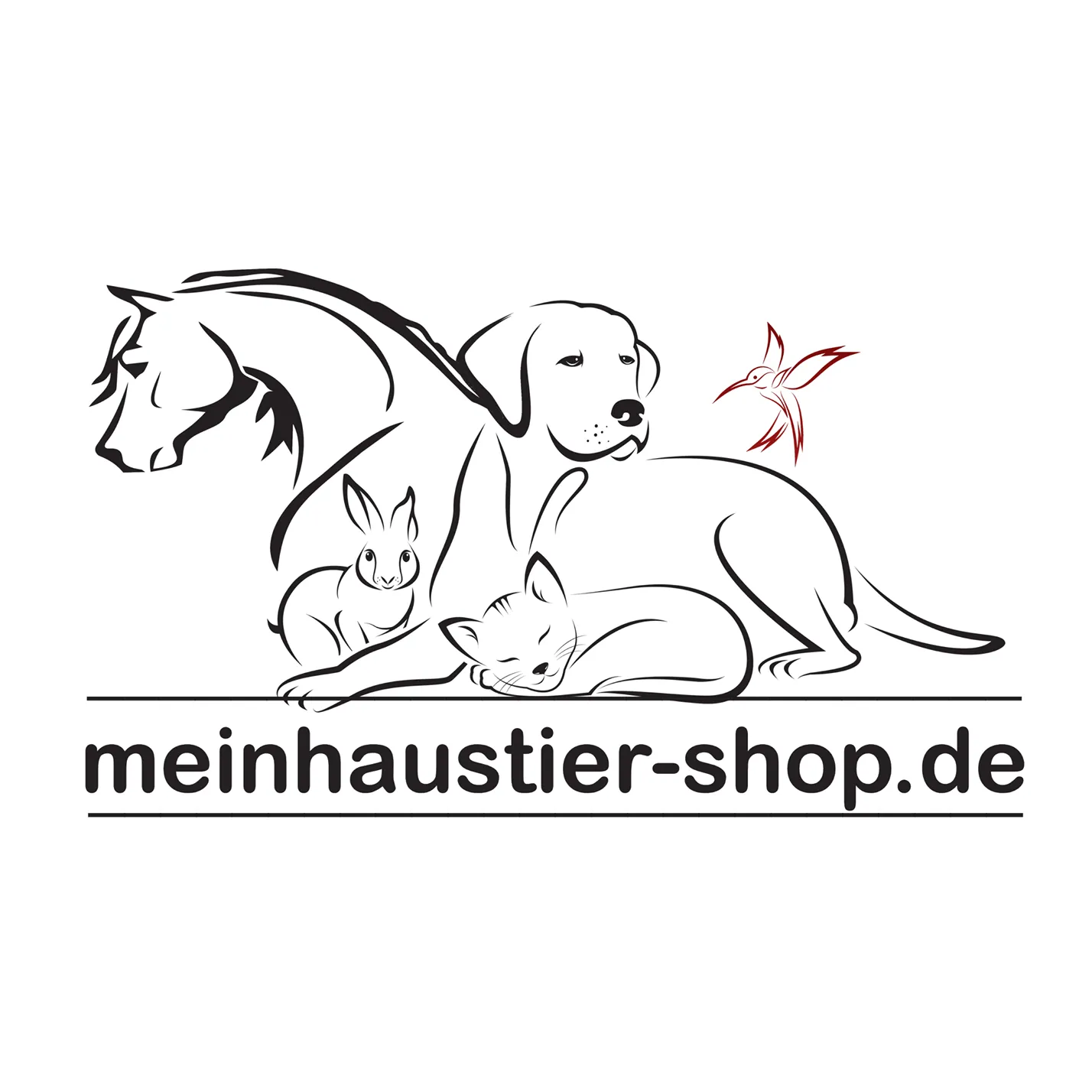 eBay Coupon