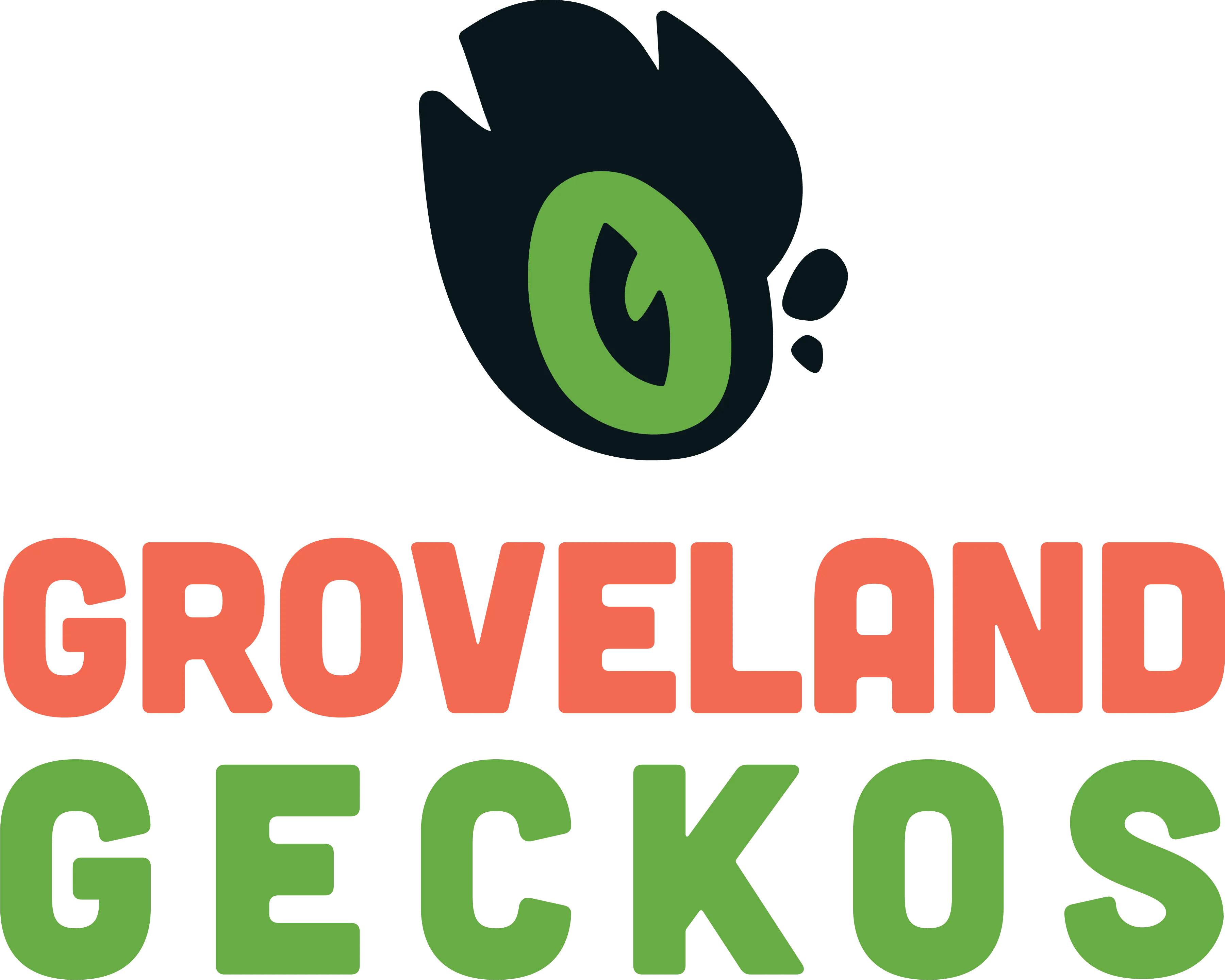 Groveland Gecko
