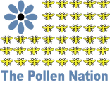 The Pollen Nation