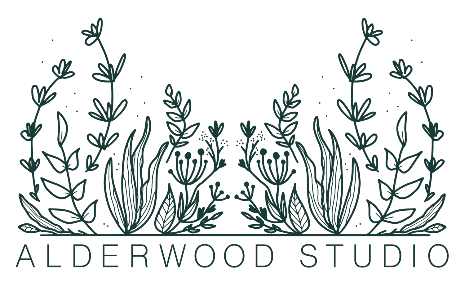 Alderwood Studio