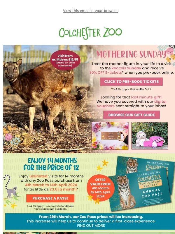 Colchester Zoo - Treat the mother figure in your life to a visit to the Zoo this Sunday?