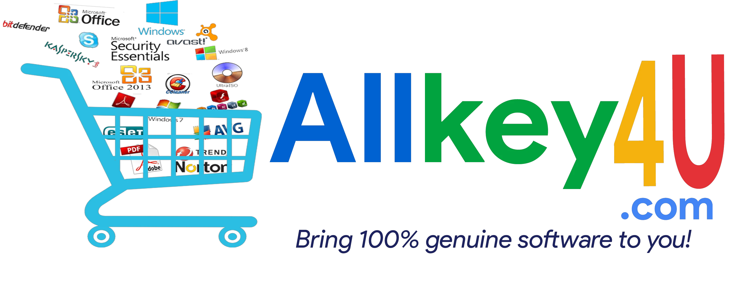 eBay Coupon