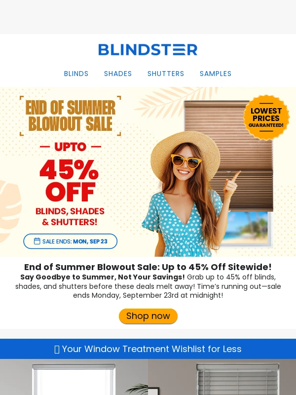 Blindster - ?FINAL HOURS: Up to 45% Off Your Next Order!?