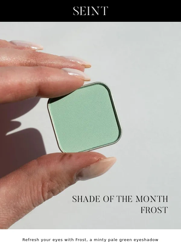 SEINT - November's Shade of the Month: Frost