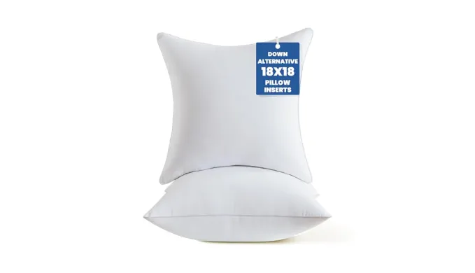 Zaiwoo Throw Pillow Inserts, 18 x 18 Pillow Inserts Set of 2, Soft Fluffy Down Alternative White Square Pillow Insert for Decorative Couch Cushion Sofa