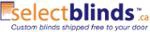 eBay Coupon
