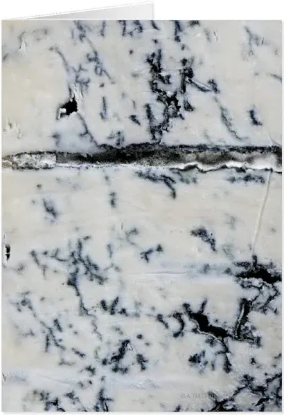 Gorgonzola Cheese
