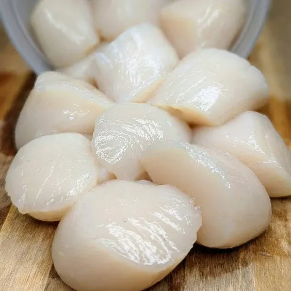 McLoons Lobster Shack Maine Dayboat Scallops