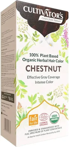 Chestnut Hair Color