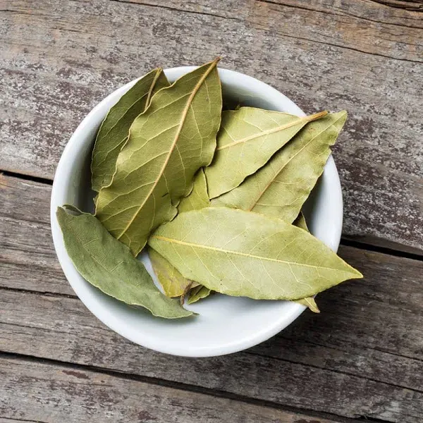 Crafter's Choice Bay Leaf & Tobacco Fragrance Oil