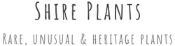 Shire Plants