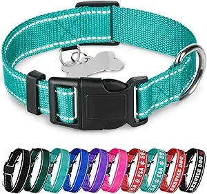 Teceum Reflective Basic Nylon Quick Release Buckle Pet Collar (Size: M in Teal)