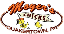 Moyer's Chicks