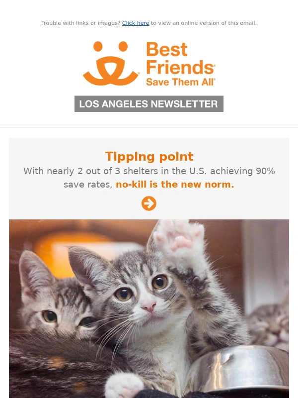 Best Friends - The latest in lifesaving,stories to warm your heart,+ more