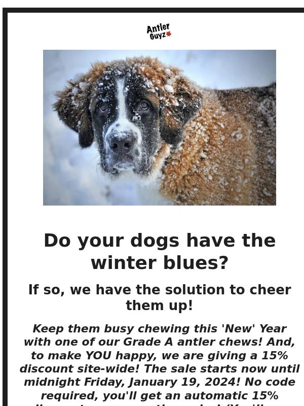 Rogers - Reminder: Do your dogs have the Winter Blues?