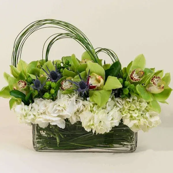 French Florist Cymbidium Orchids & Hydrangea Fresh Flower Delivery