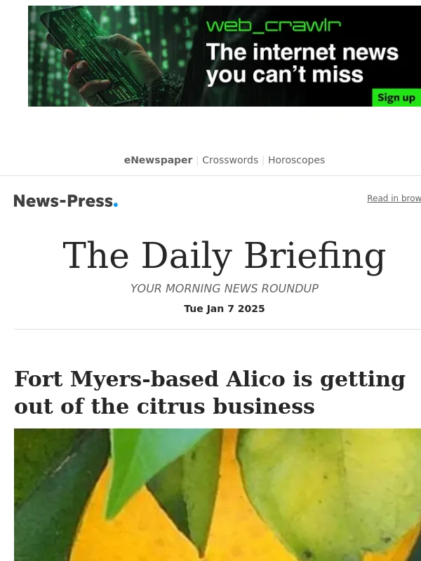 Avocado Mattress - Daily Briefing: Fort Myers-based Alico is getting out of the citrus business