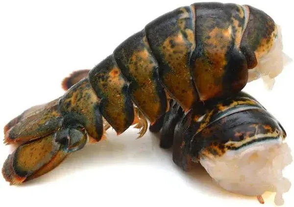 The Jumbo Lobster Tail Clam Bake