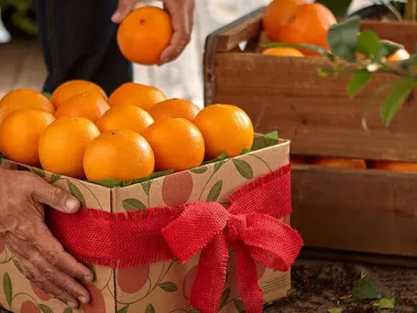 Citrus Lovers Fruit Club Months Oranges Hale Groves