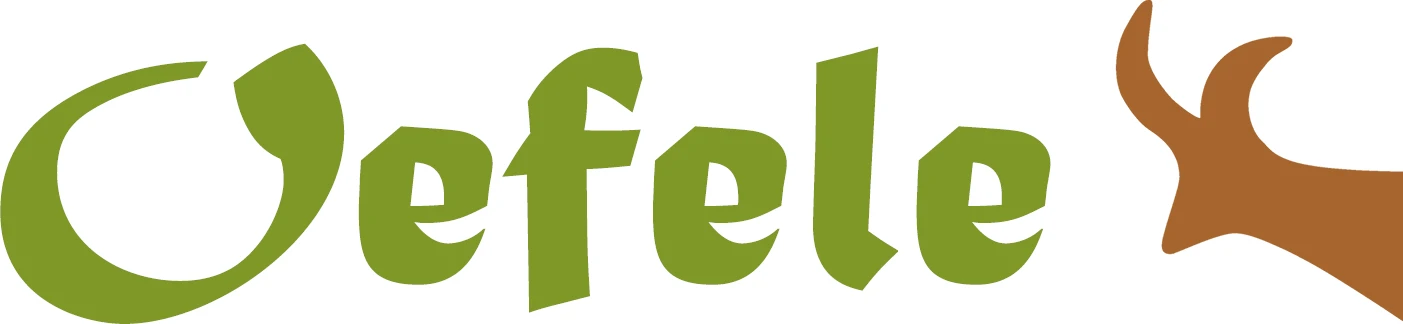 eBay Coupon