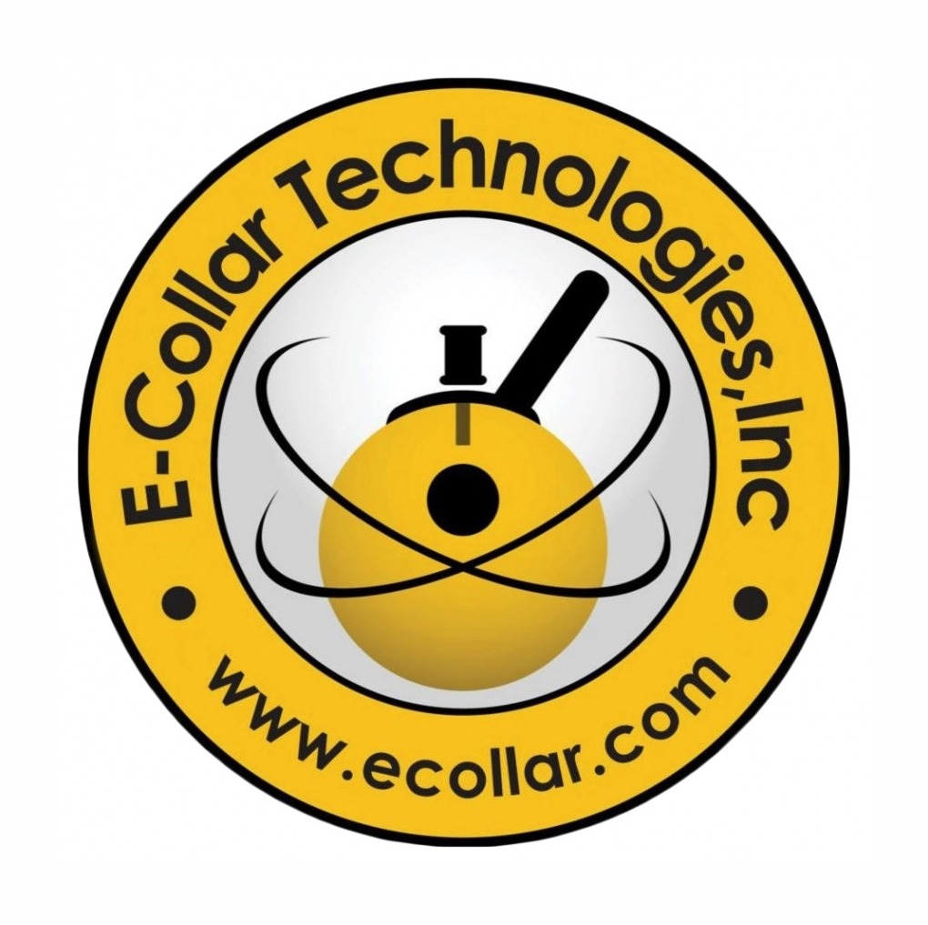 eBay Coupon