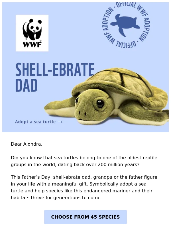 WWF - Turtle-ly unique gifts for Father’s Day ?