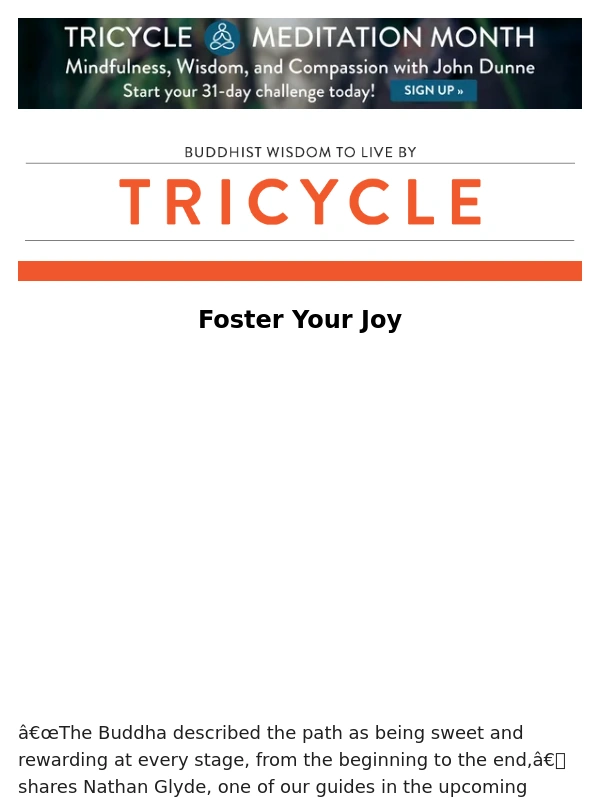 Tricycle - 30% Off The Buddha’s Path to