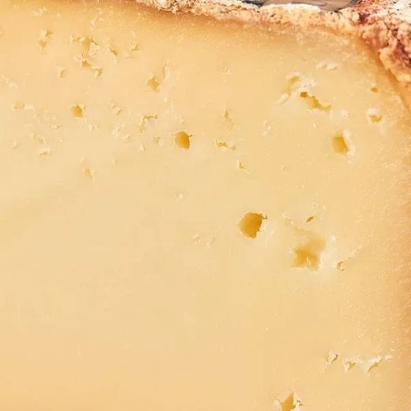Murray's Cheese Pyrenees Brebis