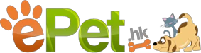 eBay Coupon