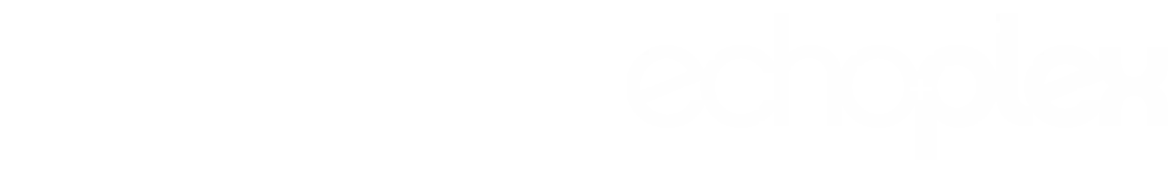 The Echo