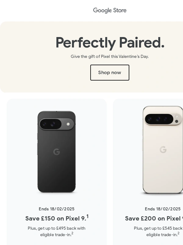Google Store - A Pixel gift they’ll love
