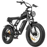 Ridstar Q20 Mini eBike 20" Reifen 1000W-Motor 48V 15Ah Akku - OOLACTIVE
