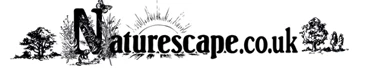 Naturescape