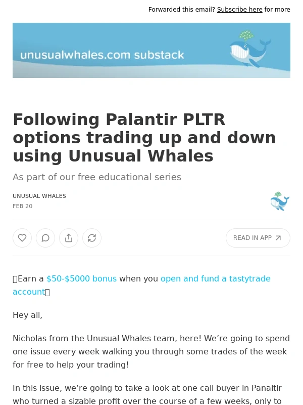 Unusual Whales - Following Palantir PLTR options trading up and down using Unusual Whales