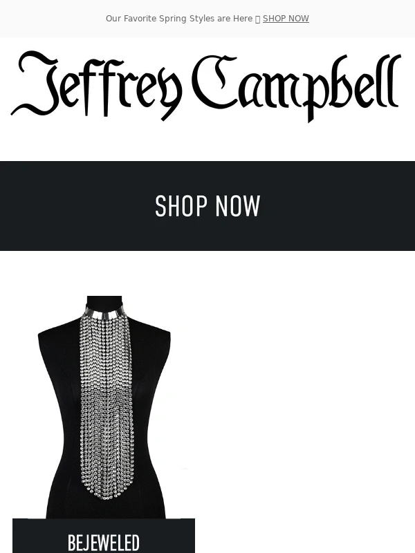 Jeffrey Campbell - New Handbags & Accessories Have Arrived! ?