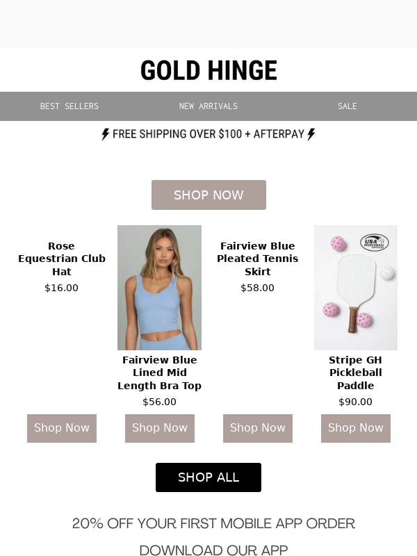 Gold Hinge - Your Flight Is Booked!