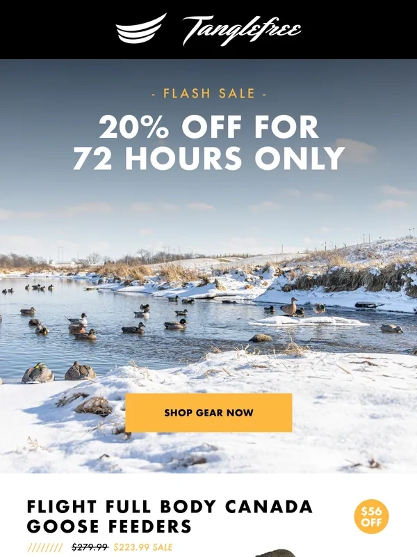 Tanglefree - Flash Sale for 72 Hours Only