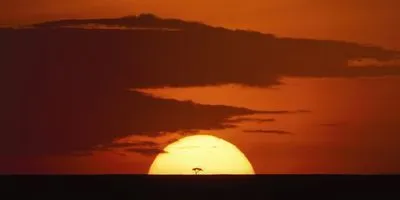 11-Day Essential East Africa Safari Tour
