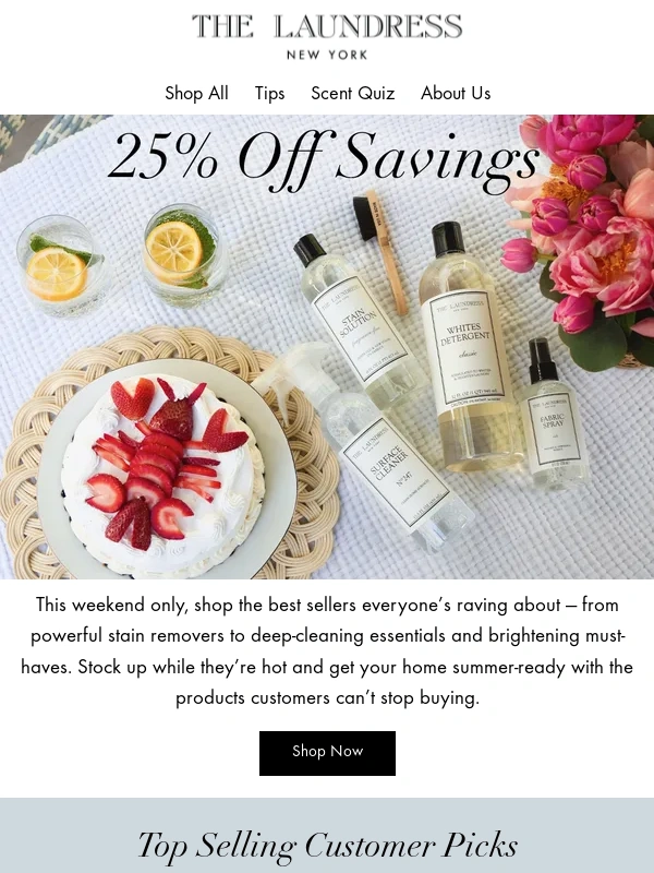 The Laundress - What Everyone’s Grabbing Before It’s Gone