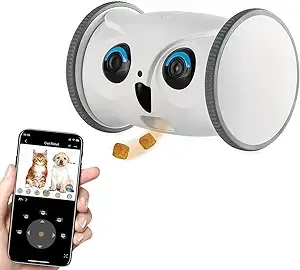 SKYMEE Owl Robot
