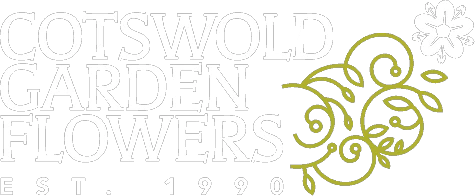 Cotswold Garden Flowers