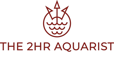 2Hr Aquarist