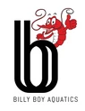 Billy Boi Aquatics