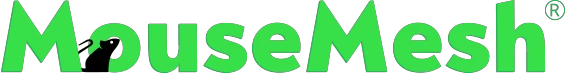 eBay Coupon