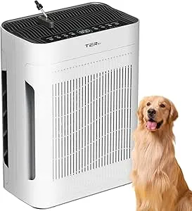Air Purifier for Large Rooms