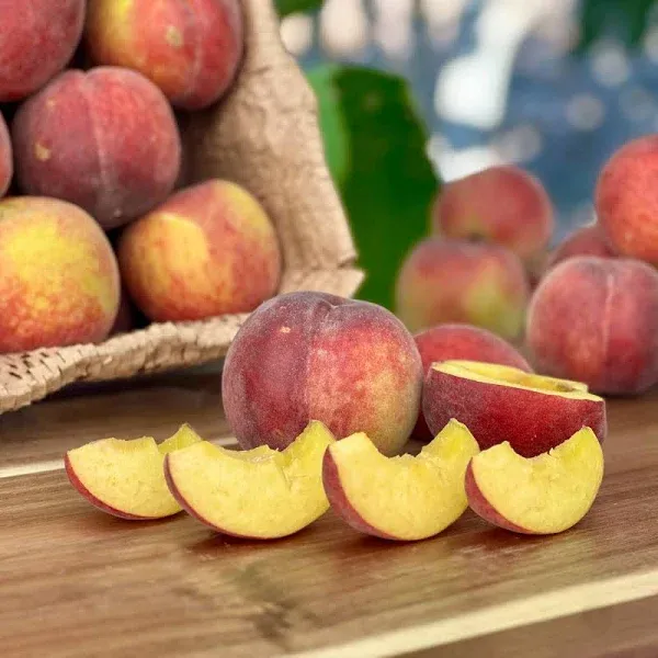 Local California Farm Fresh Peaches