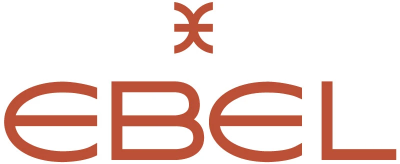 eBay Coupon