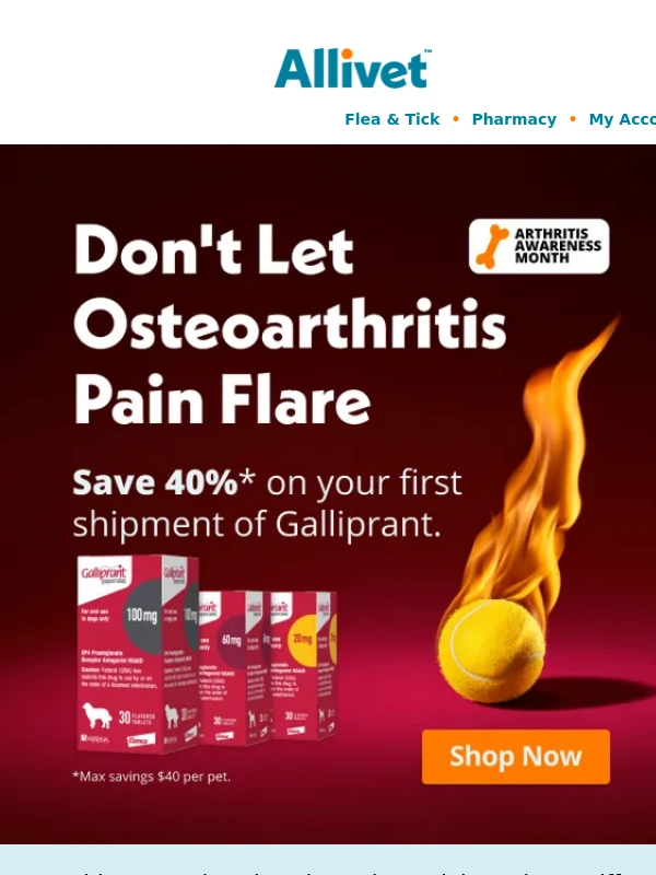 Allivet - 40% Off Galliprant – Help Your Dog Move with Ease!